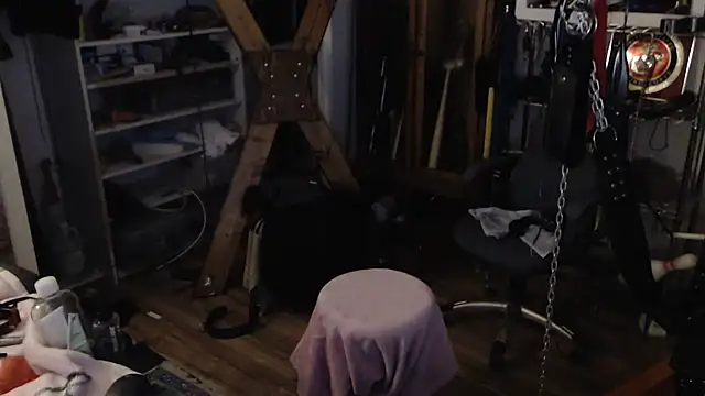 Snapshot of Transjoni chatting on January 11, 2025, 3:52 pm Transjoni online show from January 11, 2025, 3:52 pm