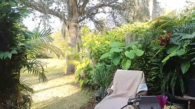 Snapshot of eliberator1777 chatting on January 31, 2025, 9:37 pm eliberator1777 online show from January 31, 2025, 9:37 pm