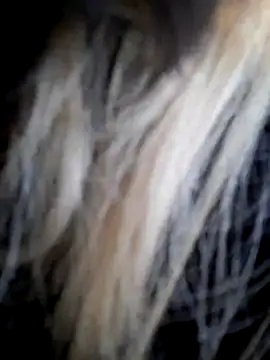 Dirtyfeelin online show from December 14, 2025, 11:59 am