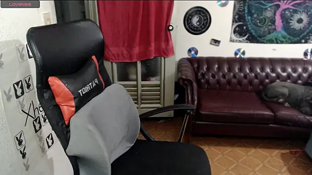 Snapshot of xherry_horny chatting on February 19, 2025, 5:05 am xherry horny online show from February 19, 2025, 5:05 am