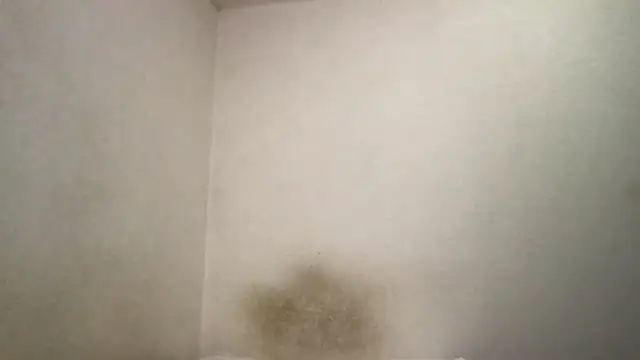 Snapshot of Magicwordsforme chatting on March 15, 2025, 12:25 am Magicwordsforme online show from March 15, 2025, 12:25 am