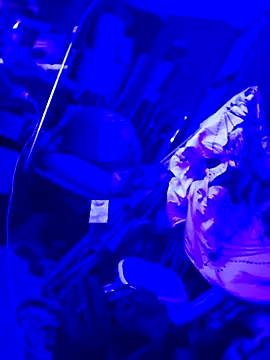 Snapshot of justinewe69 chatting on September 23, 2025, 3:31 am justinewe69 online show from September 23, 2025, 3:31 am