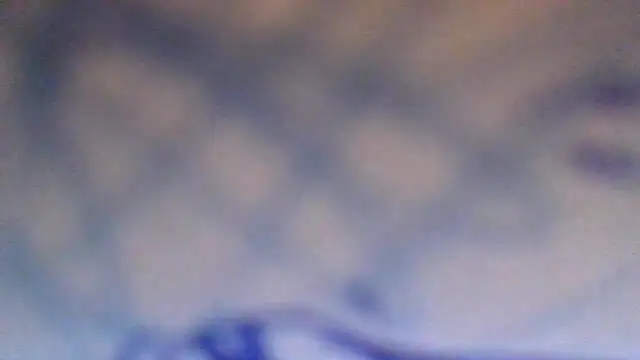 Snapshot of AnnyPat chatting on November 16, 2025, 12:55 pm AnnyPat online show from November 16, 2025, 12:55 pm