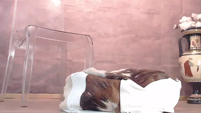 Lady-Nymph online show from October 26, 2025, 5:19 pm