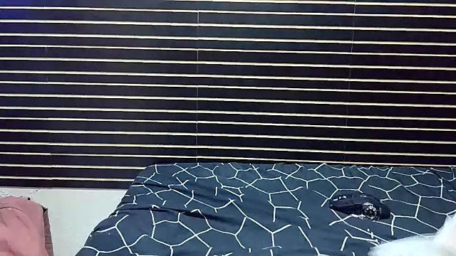 Snapshot of KrikaCat chatting on February 23, 2026, 1:41 pm KrikaCat online show from February 23, 2026, 1:41 pm