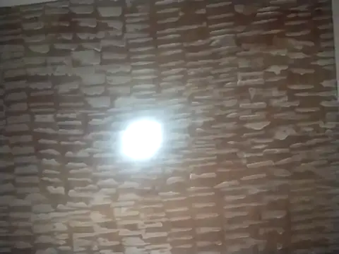 Snapshot of catdool chatting on September 22, 2025, 5:04 pm catdool online show from September 22, 2025, 5:04 pm