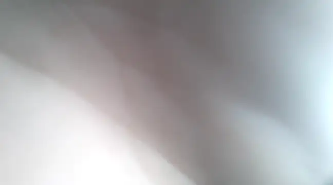 Snapshot of Dalton2288 chatting on January 21, 2025, 7:50 pm Dalton2288 online show from January 21, 2025, 7:50 pm