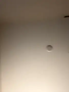 Snapshot of DancingLemonade chatting on November 16, 2025, 11:49 am DancingLemonade online show from November 16, 2025, 11:49 am