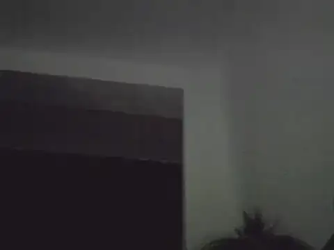 FallenDevil online show from January 24, 2025, 7:49 pm