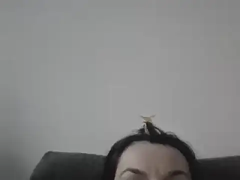 FallenDevil online show from March 7, 2025, 4:00 pm