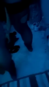 Snapshot of Misspadrona88 chatting on December 13, 2025, 10:37 pm Misspadrona88 online show from December 13, 2025, 10:37 pm