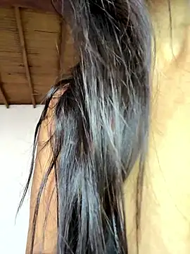 pleasureMyAss- online show from January 17, 2026, 5:27 pm