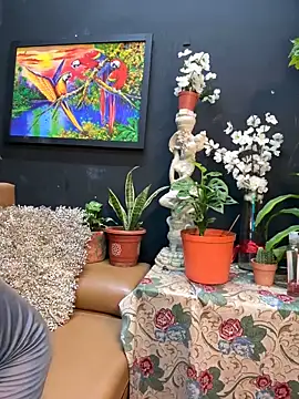 uma patna000 online show from December 31, 2024, 8:26 am