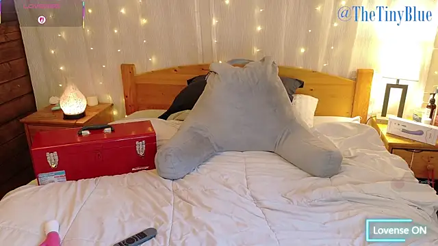 thetinyblue online show from March 27, 2026, 6:07 pm