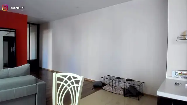  in yan online show from March 16, 2026, 4:29 am