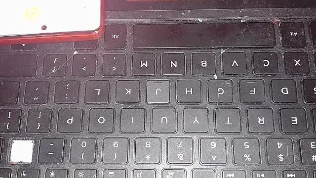 atlwebbie75 online show from February 24, 2026, 12:03 pm