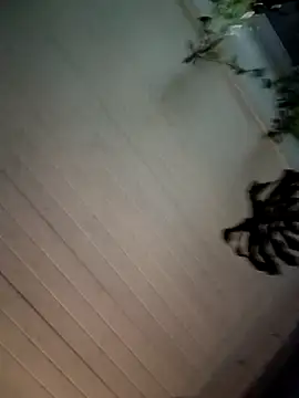 Nikkierosee online show from December 14, 2024, 10:56 am