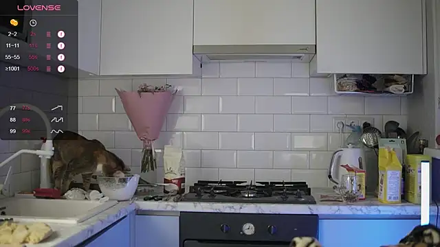 Snapshot of melanielwithu chatting on December 13, 2024, 9:41 pm melanielwithu online show from December 13, 2024, 9:41 pm