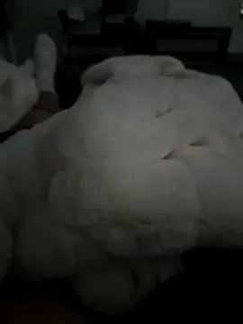 Snapshot of Furdale chatting on November 5, 2025, 2:50 pm Furdale online show from November 5, 2025, 2:50 pm