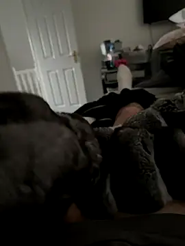 Snapshot of Furdale chatting on November 7, 2025, 2:28 pm Furdale online show from November 7, 2025, 2:28 pm