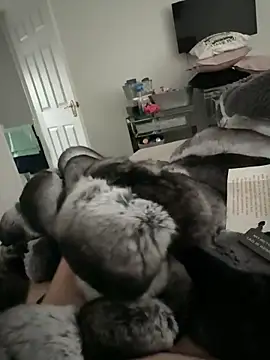 Snapshot of Furdale chatting on November 10, 2025, 2:49 pm Furdale online show from November 10, 2025, 2:49 pm