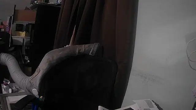 nickytheehawtie online show from July 8, 2026, 9:03 am
