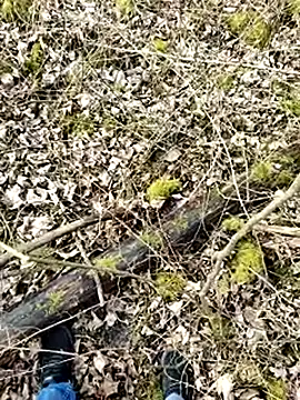 Boring one online show from March 17, 2025, 1:50 pm