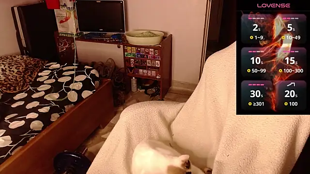 Apolo S online show from February 14, 2026, 8:33 am