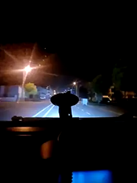 Snapshot of Darkboss31 chatting on October 30, 2025, 11:38 pm Darkboss31 online show from October 30, 2025, 11:38 pm