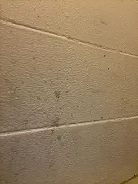 Greedy187nMs211 online show from December 2, 2025, 7:47 am