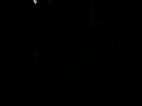 Snapshot of ALPHANDRE chatting on June 4, 2026, 7:53 pm ALPHANDRE online show from June 4, 2026, 7:53 pm