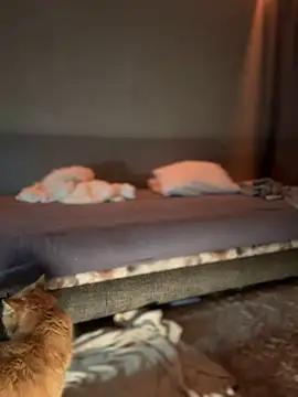 Snapshot of Bastet chatting on January 16, 2025, 7:31 pm Bastet online show from January 16, 2025, 7:31 pm