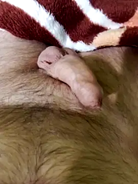 Robertvirt online show from February 16, 2026, 11:06 am