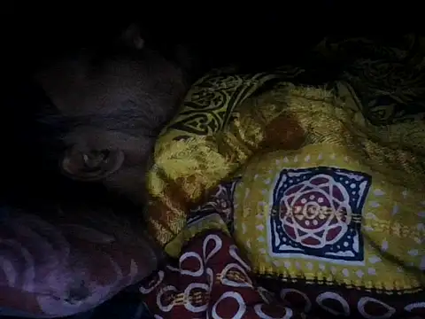 Snapshot of chittagong77 chatting on December 13, 2025, 9:53 pm chittagong77 online show from December 13, 2025, 9:53 pm