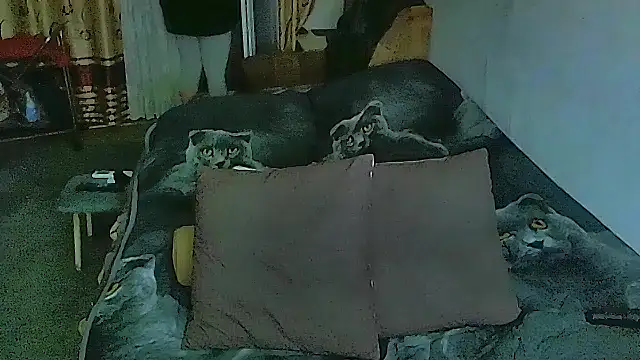 Snapshot of sex2 chatting on November 12, 2025, 11:36 pm sex2 online show from November 12, 2025, 11:36 pm