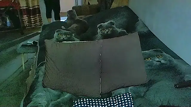 Snapshot of sex2 chatting on November 14, 2025, 2:10 am sex2 online show from November 14, 2025, 2:10 am