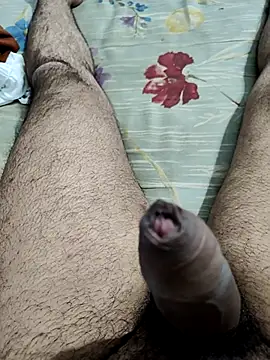 vishnuvinod india online show from November 15, 2025, 2:13 pm