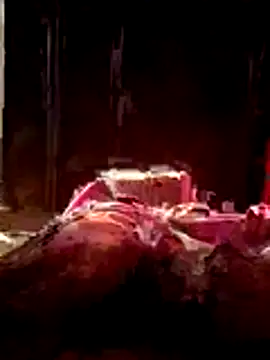 Snapshot of Bibikami chatting on February 10, 2026, 2:59 am Bibikami online show from February 10, 2026, 2:59 am