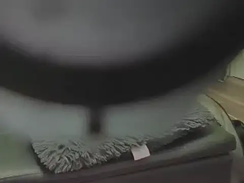 Snapshot of AwesomePapaya chatting on November 27, 2025, 12:35 am AwesomePapaya online show from November 27, 2025, 12:35 am