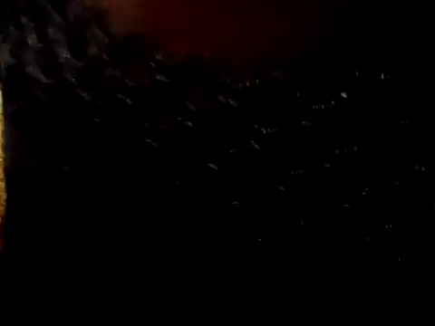 BIG-CkD F online show from April 27, 2026, 8:07 pm