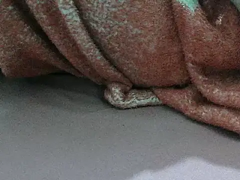 Snapshot of FUN4TIPS chatting on March 2, 2025, 2:00 pm FUN4TIPS online show from March 2, 2025, 2:00 pm