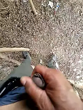 breejs online show from October 23, 2025, 6:02 am