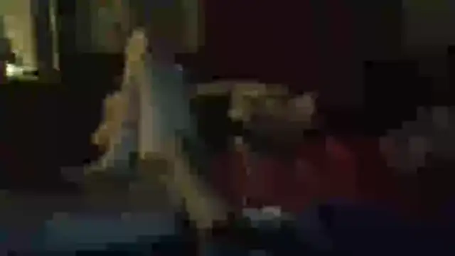 Wyleyxh online show from November 11, 2025, 11:43 am