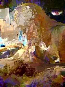 BreakBread974 online show from January 12, 2026, 7:24 am