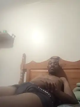 Dibobo4 online show from February 12, 2026, 8:04 pm