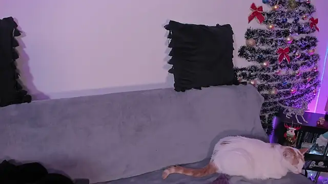 pamela doll3 online show from December 21, 2025, 3:35 am