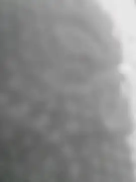 Sexilvenia online show from May 15, 2026, 10:28 pm