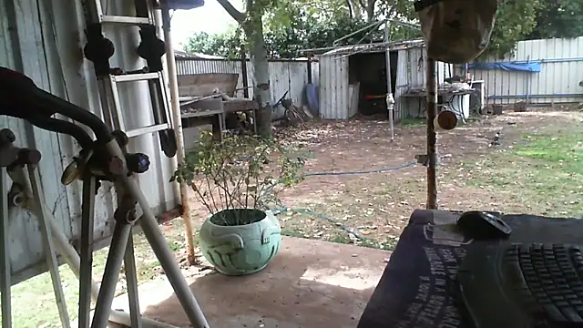 herbie010666 online show from September 16, 2025, 3:29 am