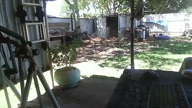 herbie010666 online show from December 2, 2025, 3:56 am