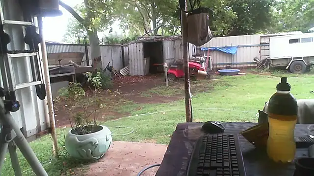 Snapshot of herbie010666 chatting on December 23, 2025, 3:15 am herbie010666 online show from December 23, 2025, 3:15 am